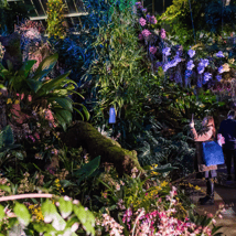 Kids Activities  in Richmond for 3-17, adults. Orchid Festival at Kew Gardens, See Tickets, Loopla