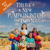 Kids Activities activities in Hounslow for 0-12m, 1-17, adults year olds. Pumpkin Patch at Hobbledown Heath, Fever, Loopla