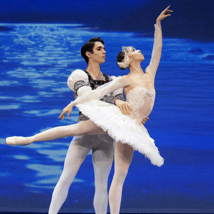 Theatre Show  in Wimbledon for 12-17, adults. Varna International Ballet - Swan Lake, ATG Tickets, Loopla