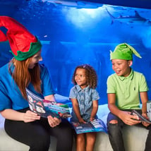 Christmas Activities activities in Westminster for 0-12m, 1-12 year olds. Join Snowy's Conservation Crew at SEA LIFE, Sealife London Aquarium, Loopla