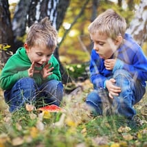 Creative Activities activities in Barnes for 2-10 year olds. Super Natural Hub, WWT - London Wetland Centre, Loopla