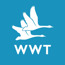 Easter activities, events in Barnes for toddlers and kids from WWT - London Wetland Centre