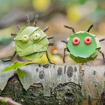 Holiday camp  in Blackheath for 3-5 year olds. Important Insects , The Conservatoire, Loopla