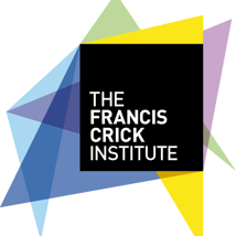 Kids activities, exhibitions in Manby Gallery for babies, toddlers and kids from The Francis Crick Institute