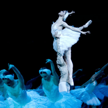 Theatre Show  in South Kensington for 6-17, adults. Swan Lake, Royal Albert Hall, Loopla