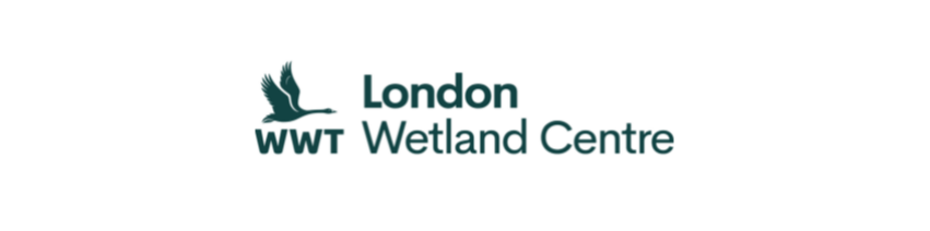 Creative Activities activities in Barnes for 2-10 year olds. Clay Modelling, WWT - London Wetland Centre, Loopla